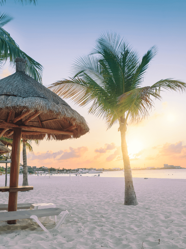 Sunset on a beach in Cancun with a palm tree and grass umbrella