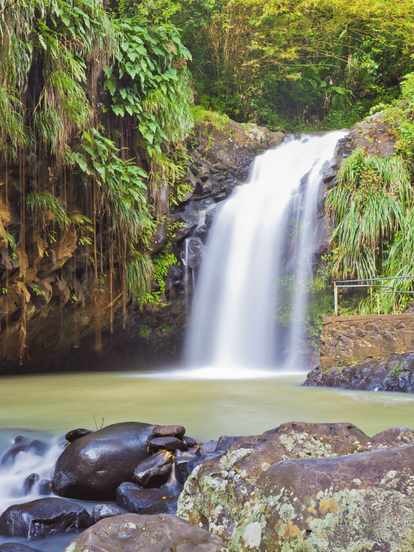 Waterfall in the rainforest in Grenada
