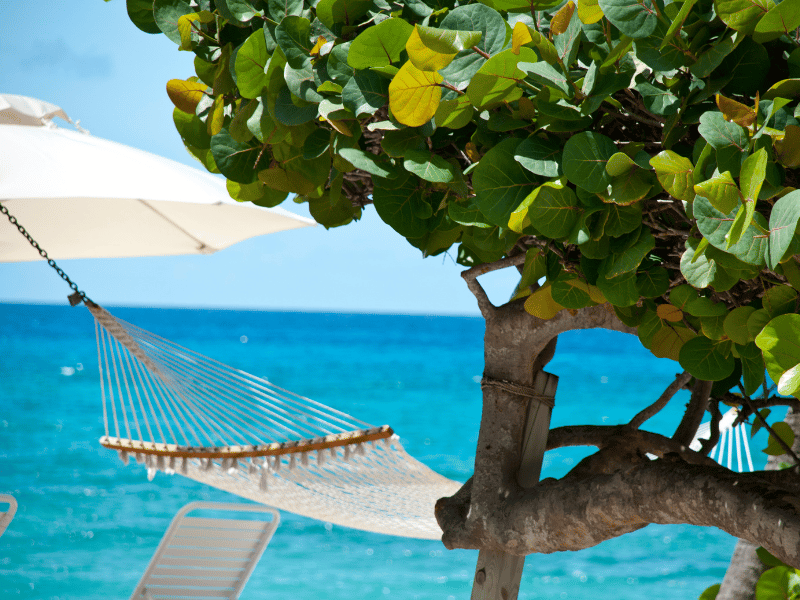 Close-up of a tree and hammock with the ocean in the background in the Cayman Islands