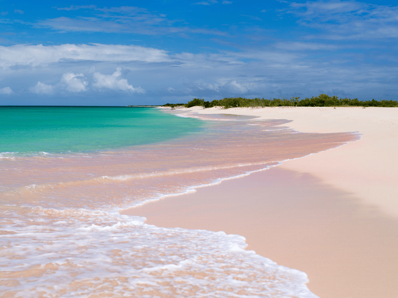 Pink sand beach