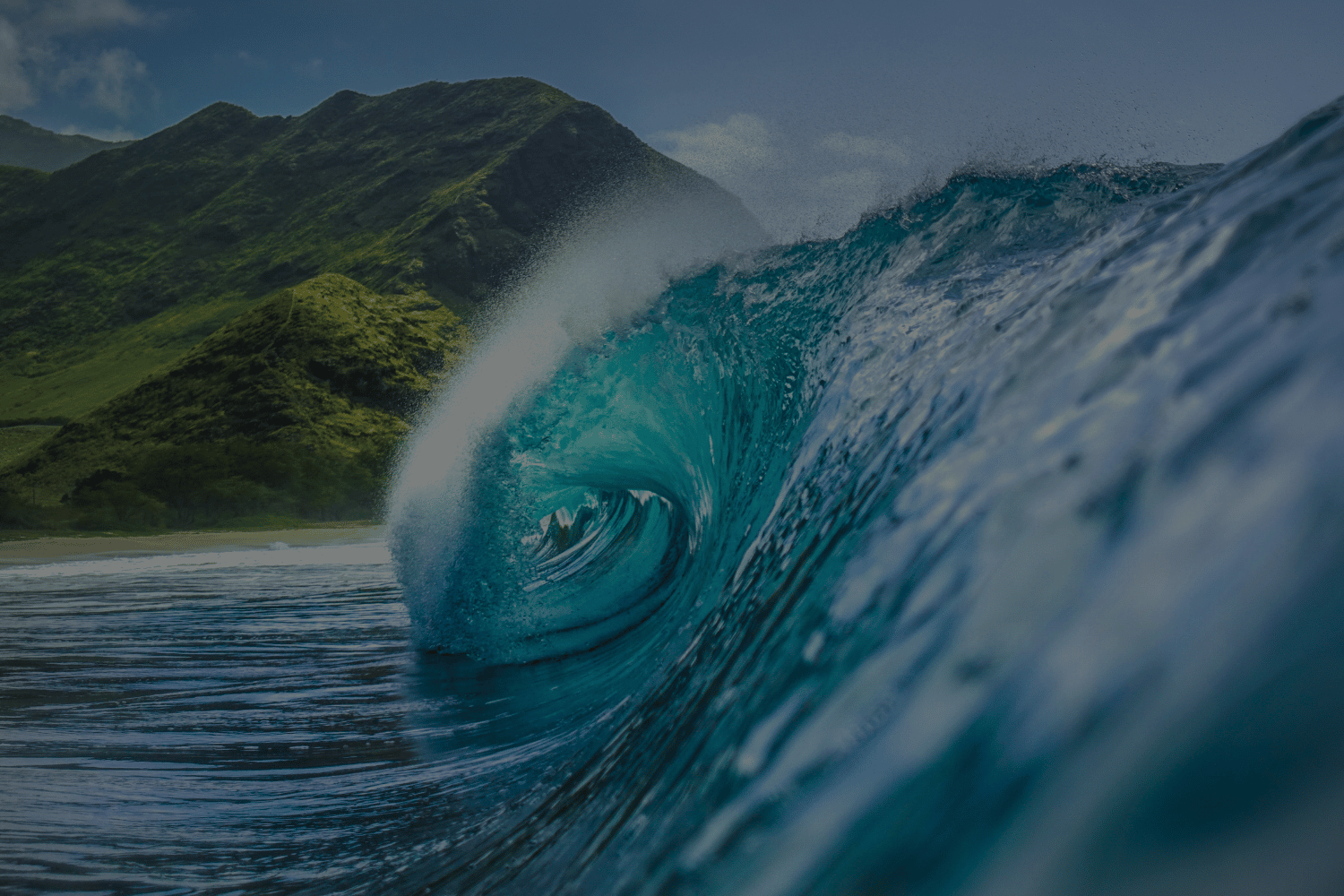 A wave off the coast of Hawaii