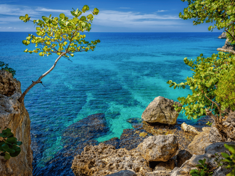 Trees and rocks by the bay in Negril, Jamaica