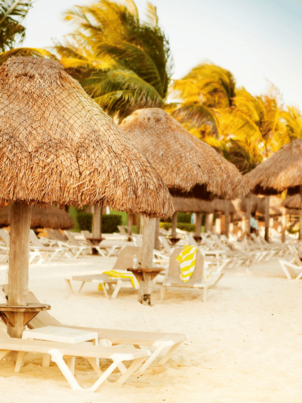 Chairs, palm trees, and grass umbrellas on the beach at Playa del Carmen