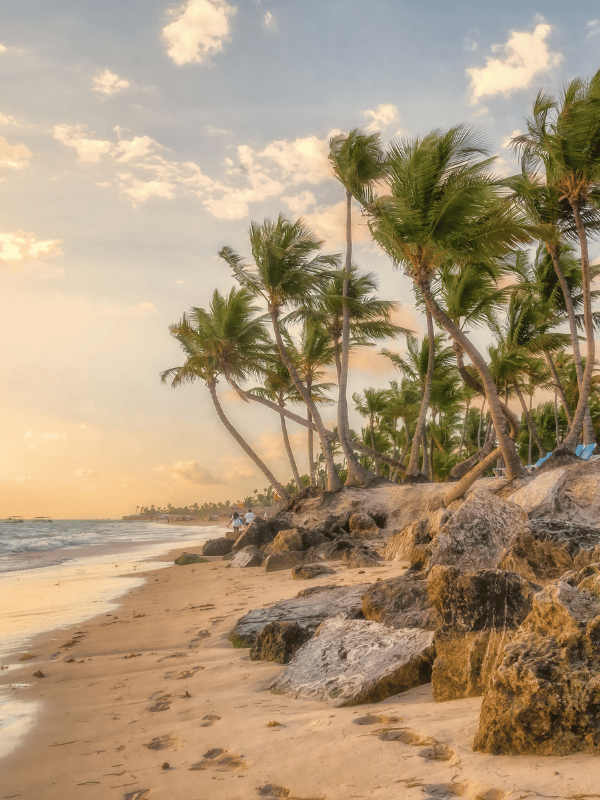 The sun rises over a grove of palm trees on the beach in Punta Cana, Dominican Republic