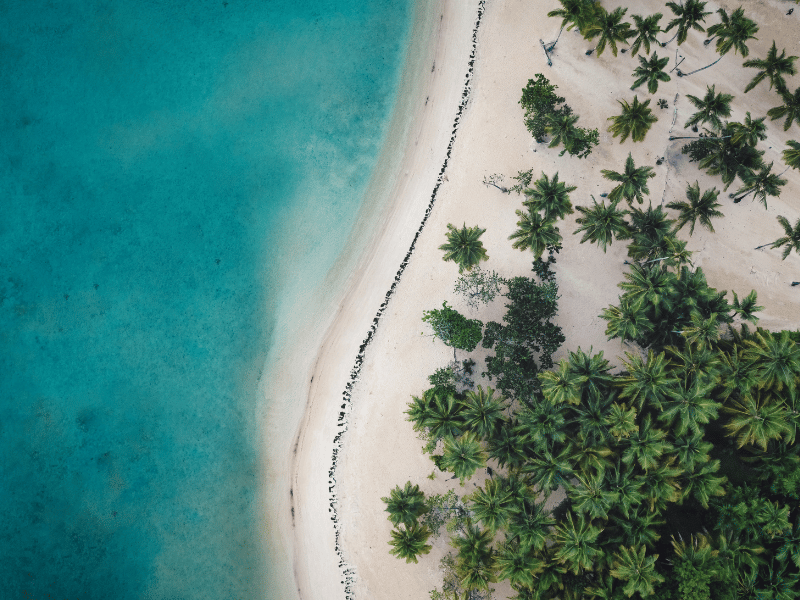 Aerial view of beach with palm trees in Samana, Dominican Republic