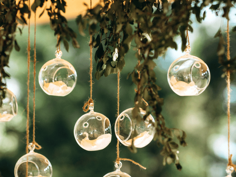 Close-up of glass spheres filled with sand hanging from greenery