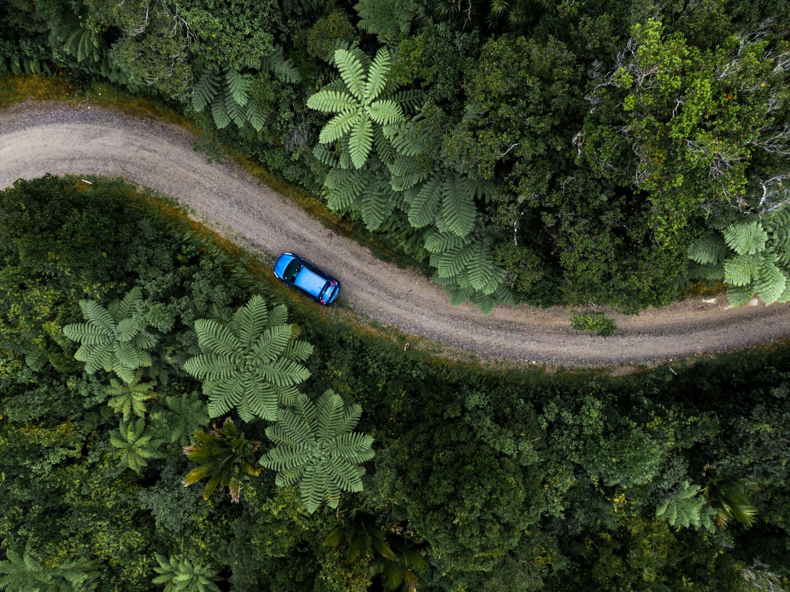 Aerial shot of a car driving through a tropical rainforest location.