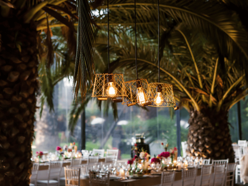 Wedding reception setup with Edison lightbulb lanterns under two palm trees.