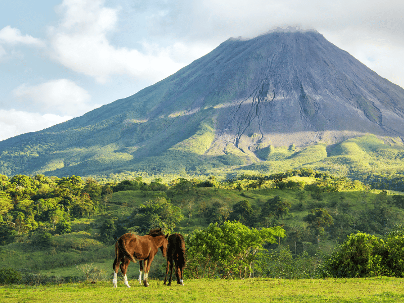 Arenal Volcano in Costa Rica with horses in the foreground